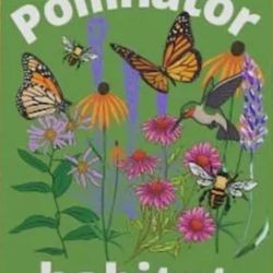 Pollinator & Native Plants! 🌸 🐝  🦋 