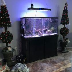 65 Gallon Fish Tank With 30lbs Of Live Rock And Sand