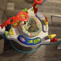 Baby Boy Bouncer/jumper