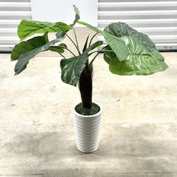 36” Artificial Elephant Ear Plant in White Modern Planter