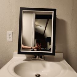 15x19 Medicine Cabinet 