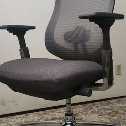 COLAMY ATLAS Ergonomic Office Chair 