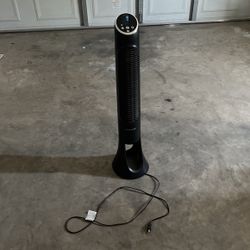 Fan