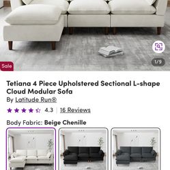Brand New In Box Couch $550