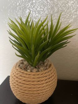 Cute artificial plant