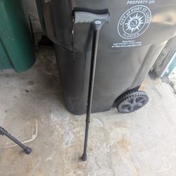 Cane