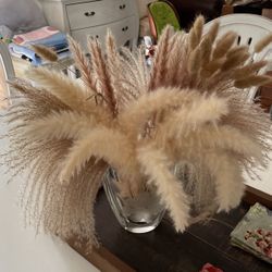 Bundles Of 18” Pampas Grass