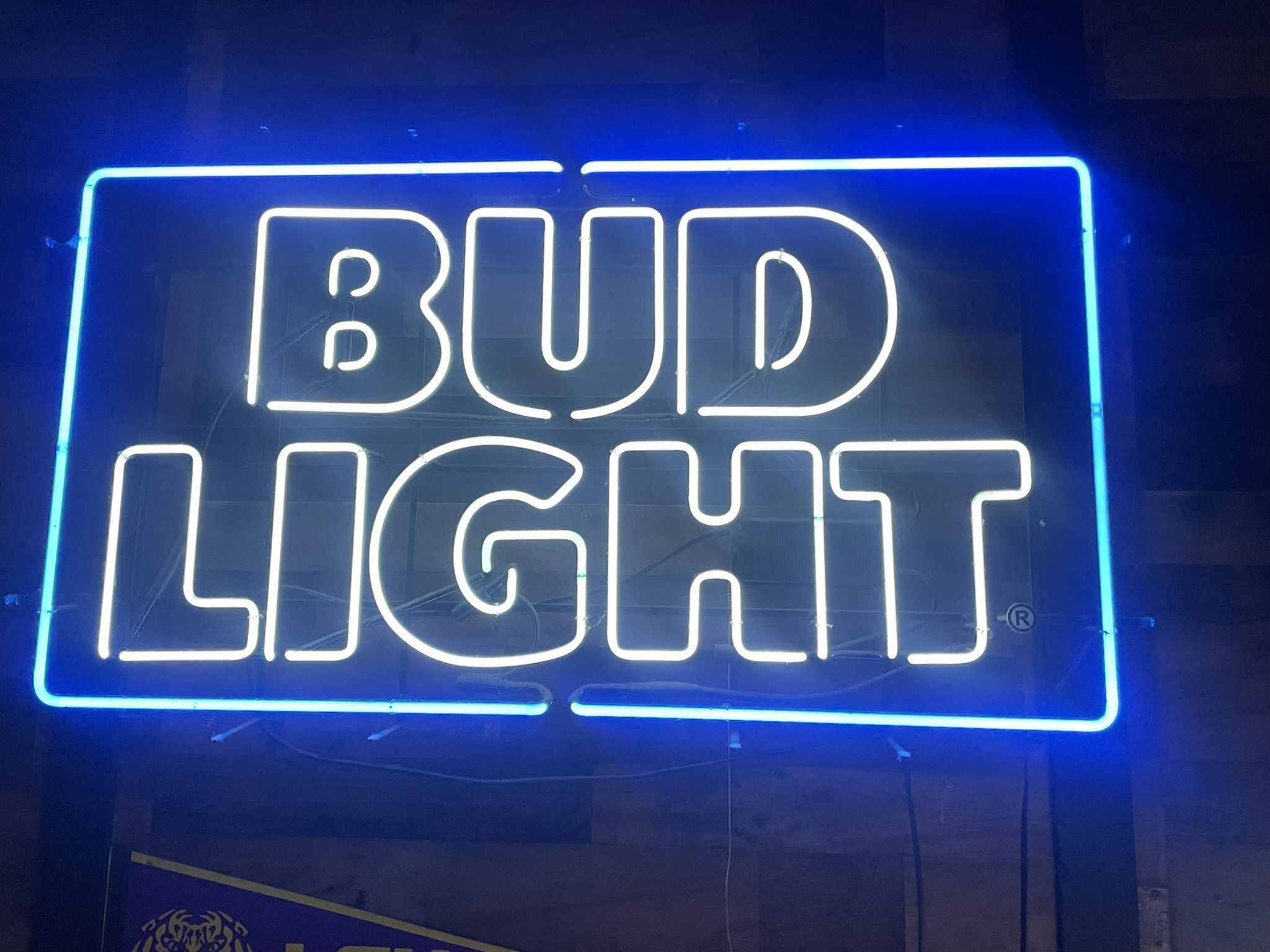 2ft X4 Ft Bud Light Neon