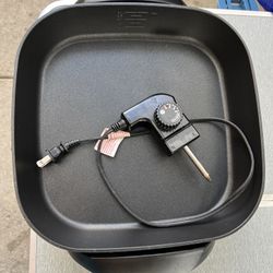 Electric Sketle