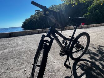 Raleigh Mountain Bike Aluminum frame, suspension.