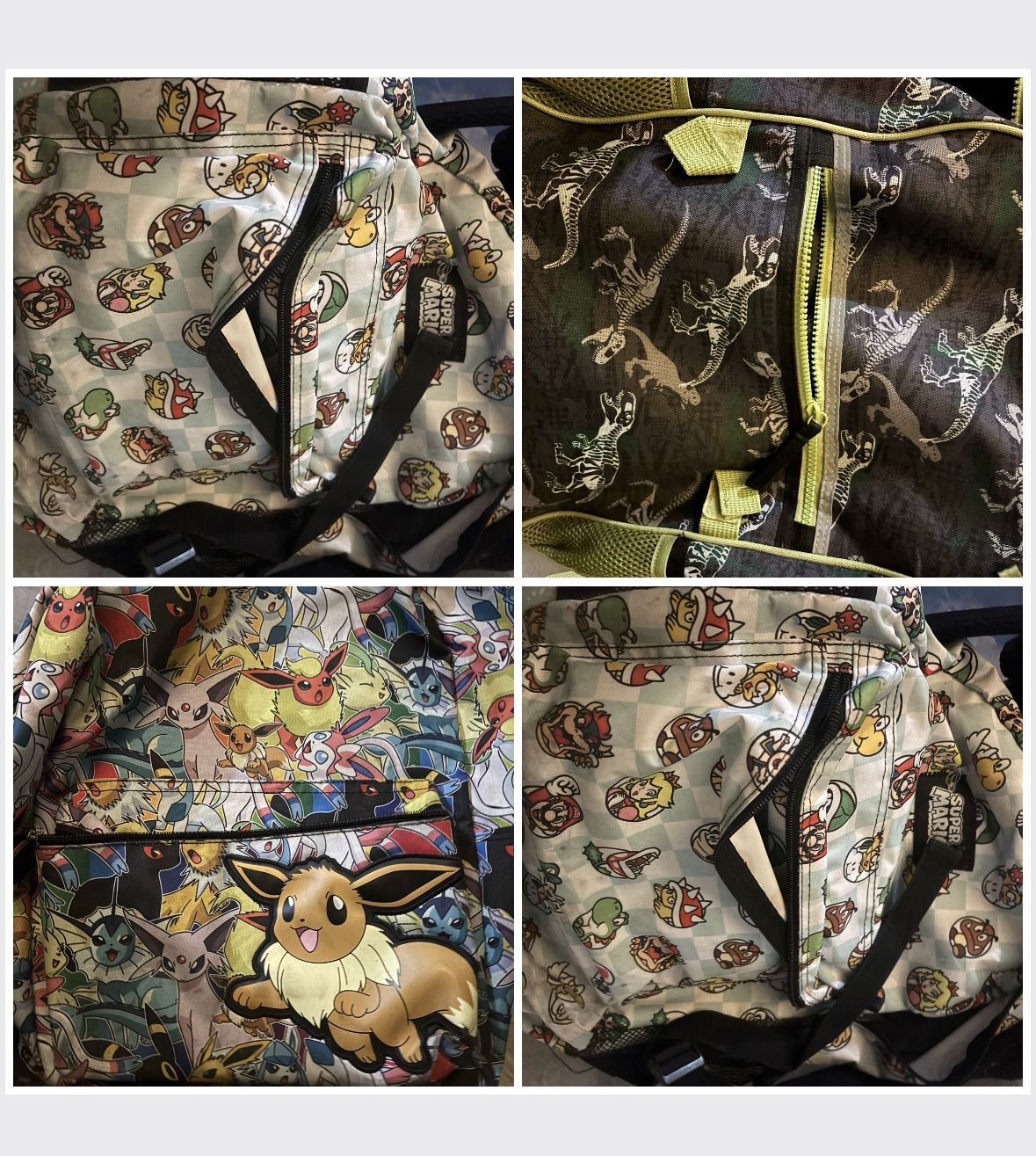 Kids Back Packers