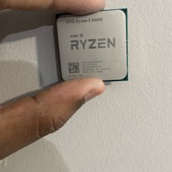 Blazing Fast Ryzen 5 5600 - Perfect for Gaming & Productivity.