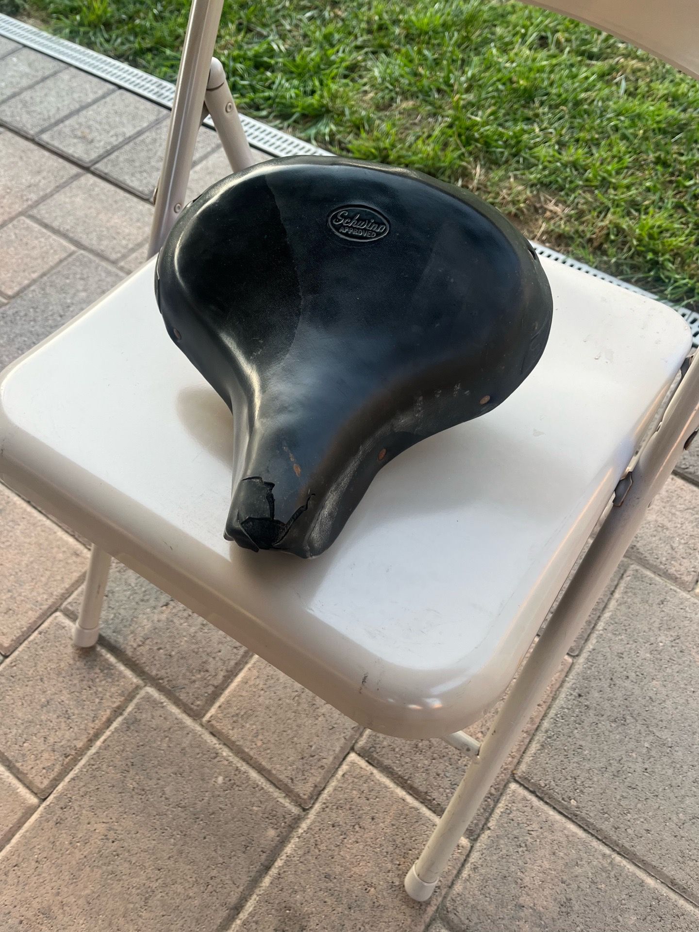 Schwinn approved saddle