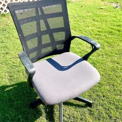 Comfortable Cushion, Office Chair With Height Adjustment