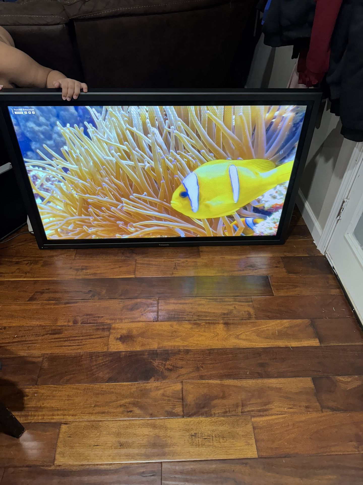 4k panasonic tv!