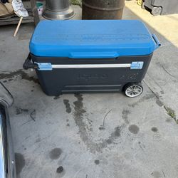 Igloo Ice Chest 