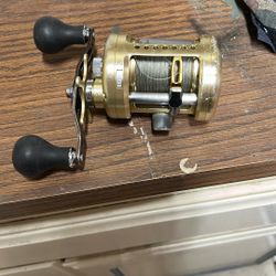 Daiwa Luna 300 