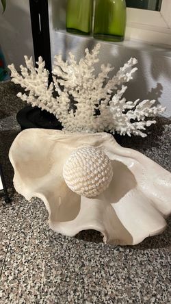 Pottery barn coral shells