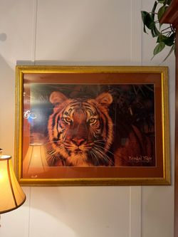 Bengal Tiger Framed Photo Print