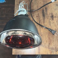Reptiles Heat Lamp