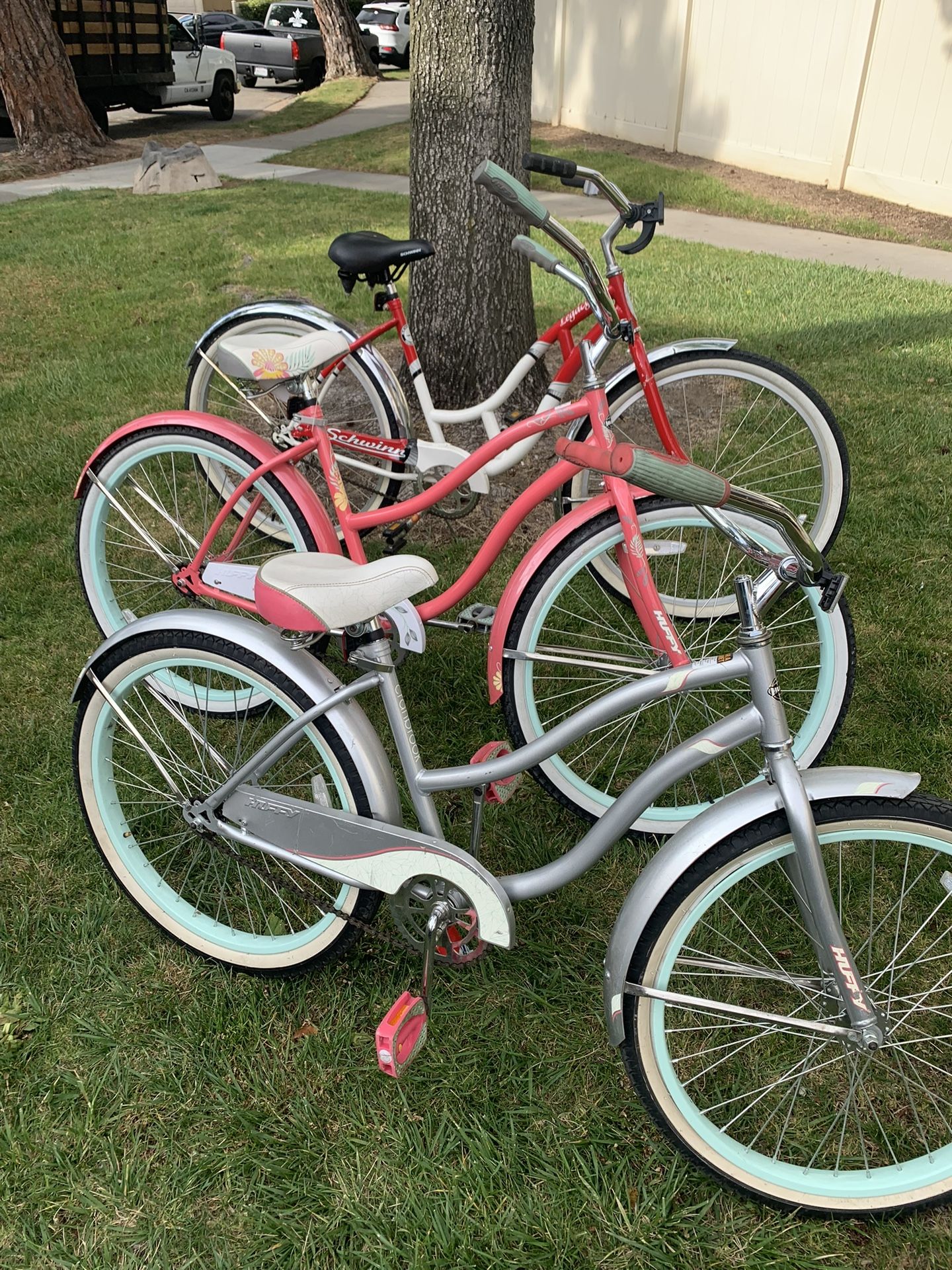 beach cruisers 