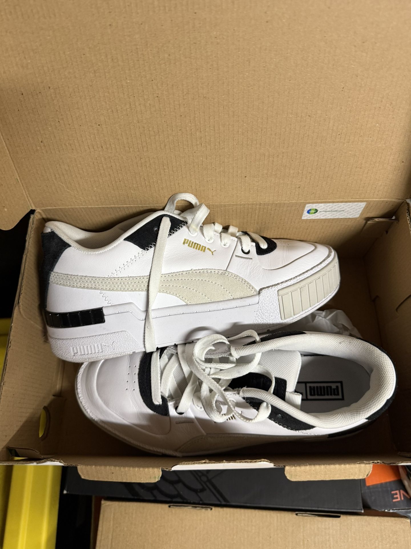 Pumas