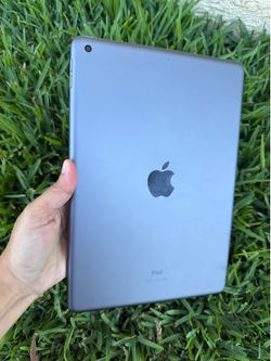 Apple iPad 7 generation
