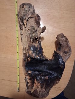 Natural Mopani Driftwood