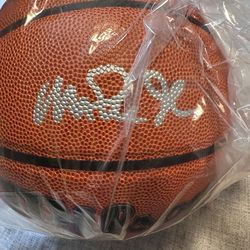 Lakers magic Johnson signed basketball