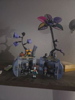 Sally lego