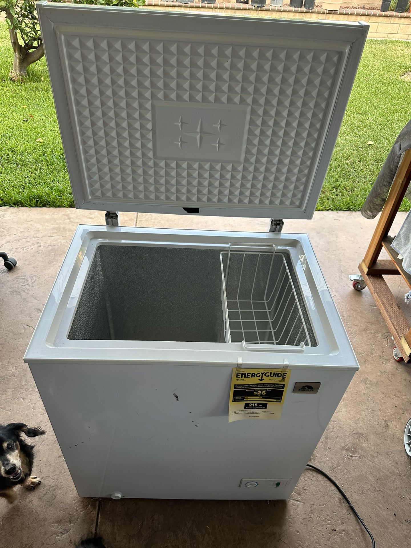 Igloo 5.1cu Feet Freezer