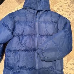 Blue Puffer