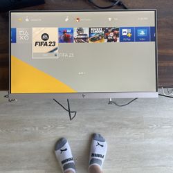 22’ HP Monitor (NO STAND)