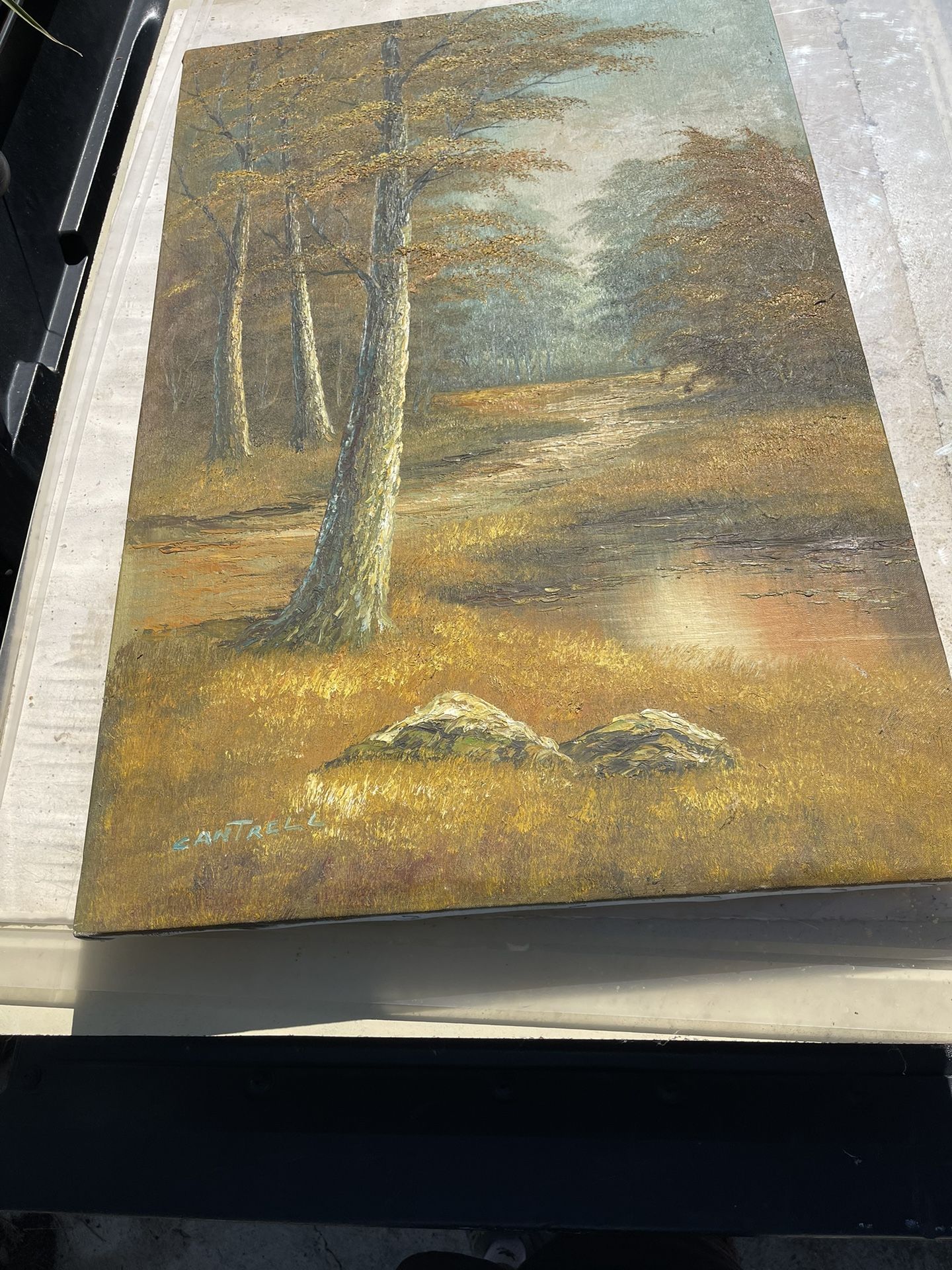 RARE cantell Painting