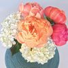 Peony Love