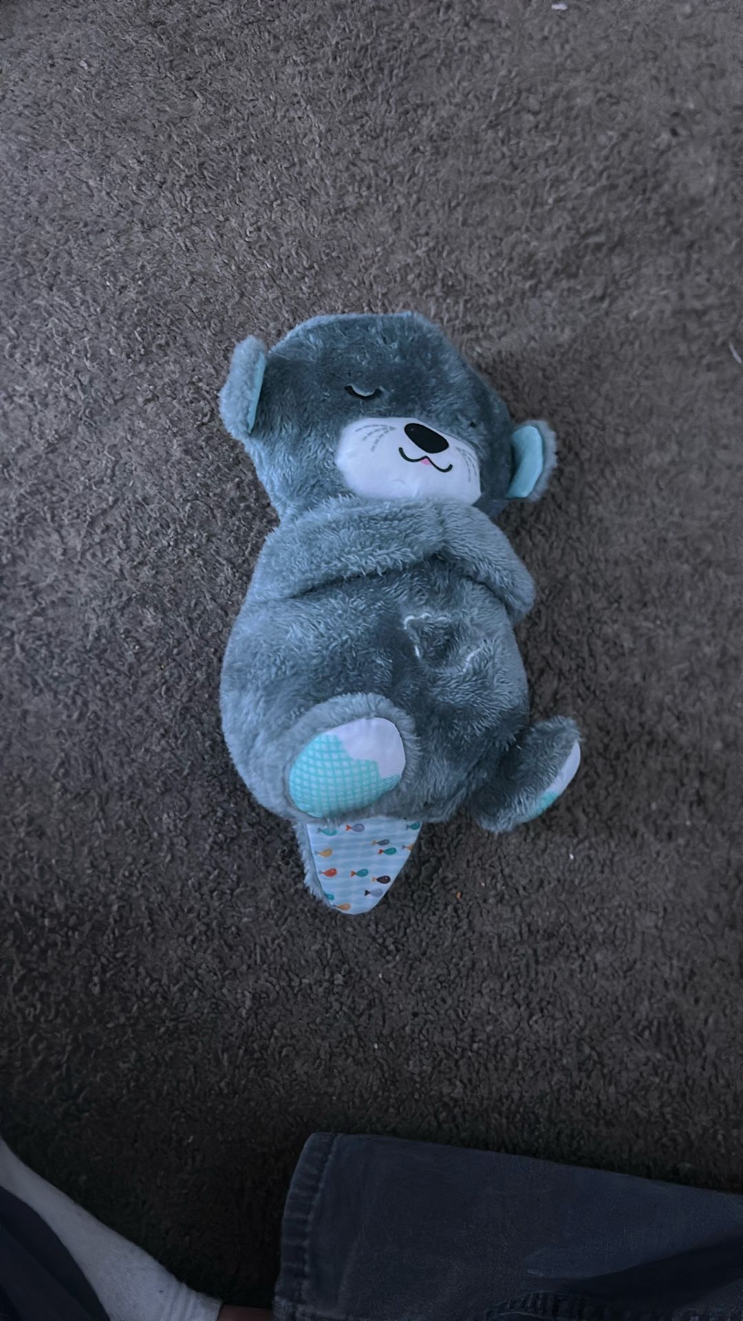 Breathing Otter