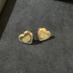 Aretes Coach Plata