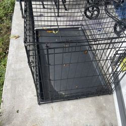 🔥🐕 hola MenajPara Perro🐶🐶