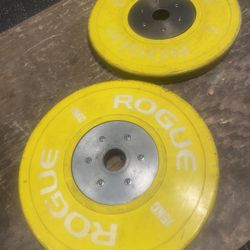 Rogue 15KG Training Plate