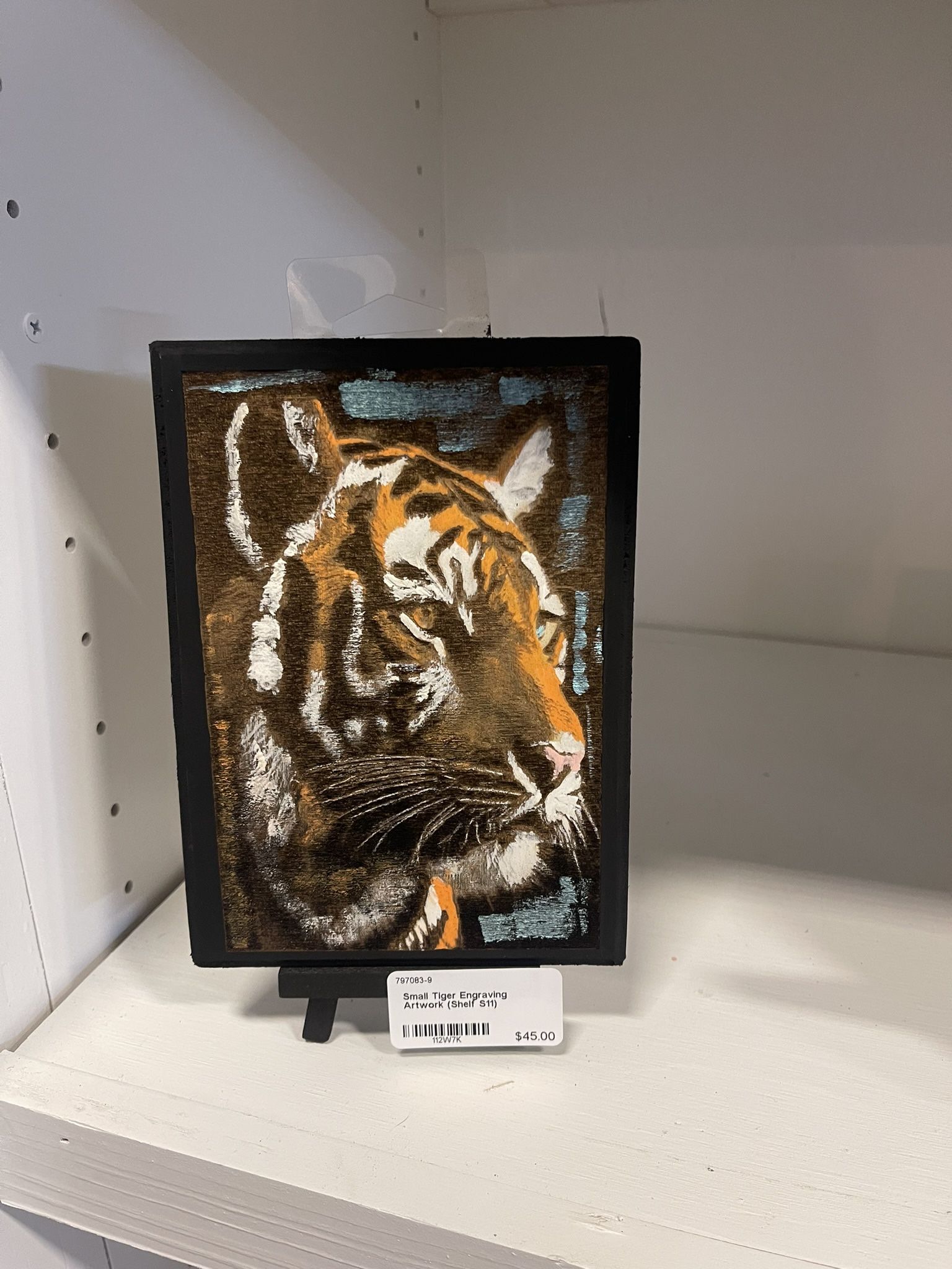 Tiger Engraving Portrait (Eighty Four & 6 Designs)
