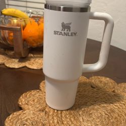 Brand New Stanley Water  Insulated Stainless Steel Cup