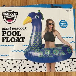 New Pool Float