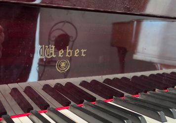 Weber WG-50 Baby Grand