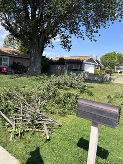 Dump / Junk  Skid Steer