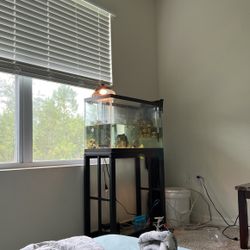 Turtle Tank, Stand, Accessories, and Animals