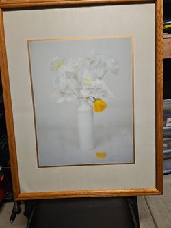 Yellow Rose Picture
