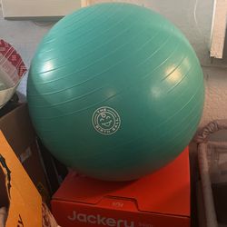 Birth Ball/ Exercise Ball