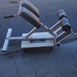 PRECOR BACK CRUNCH AB 45 DEGREE HYPER EXTENSION $400 obo