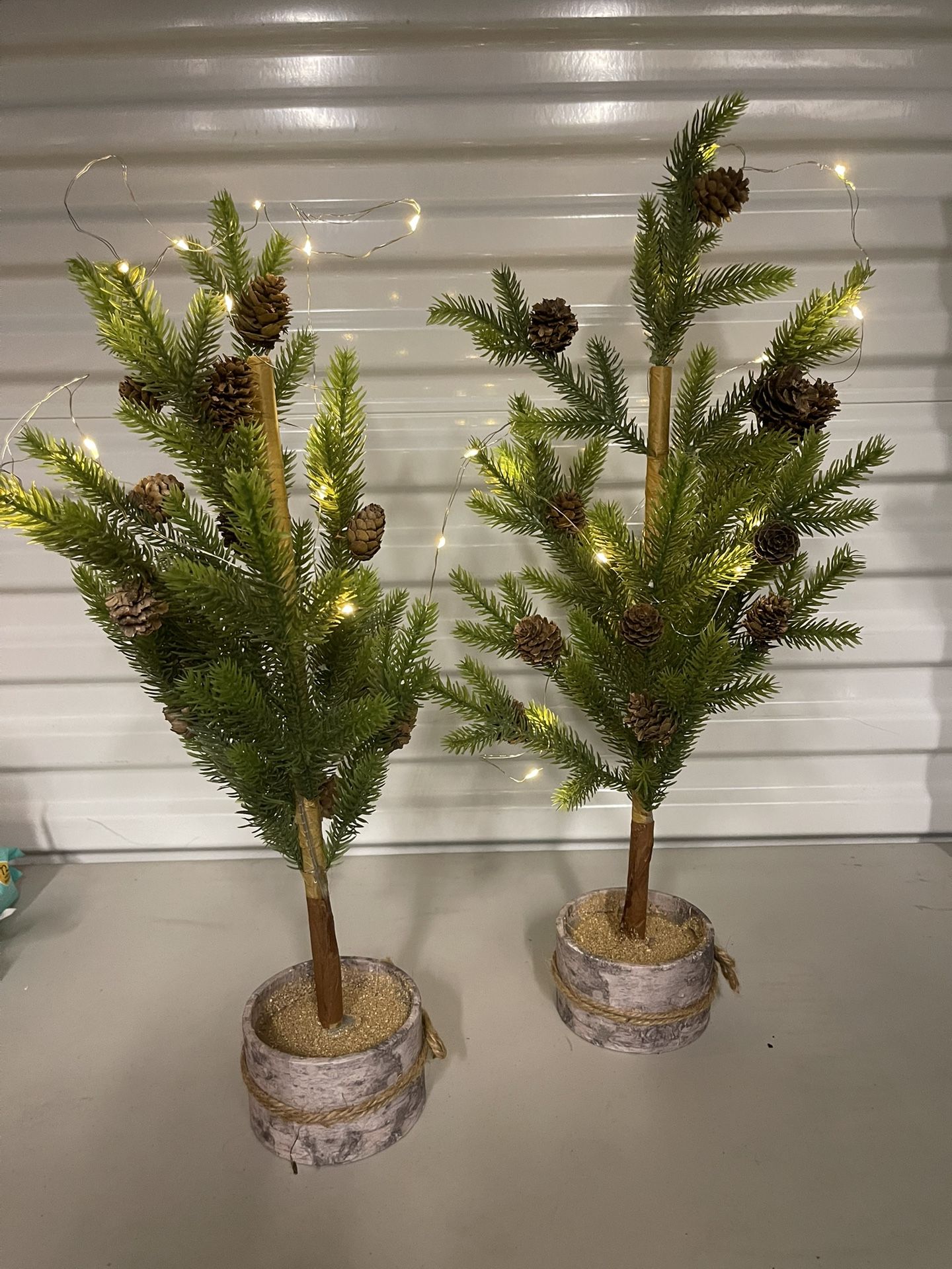 Pair Lighted Holiday Trees