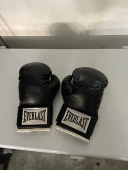 Everlast boxing gloves